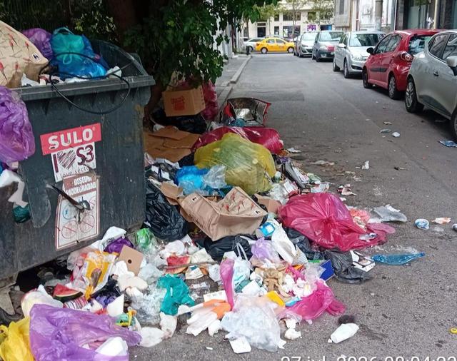 Probleme grave cu rozătoarele în zona Sf. Vineri: Primăria explică de ce e necesară intervenția