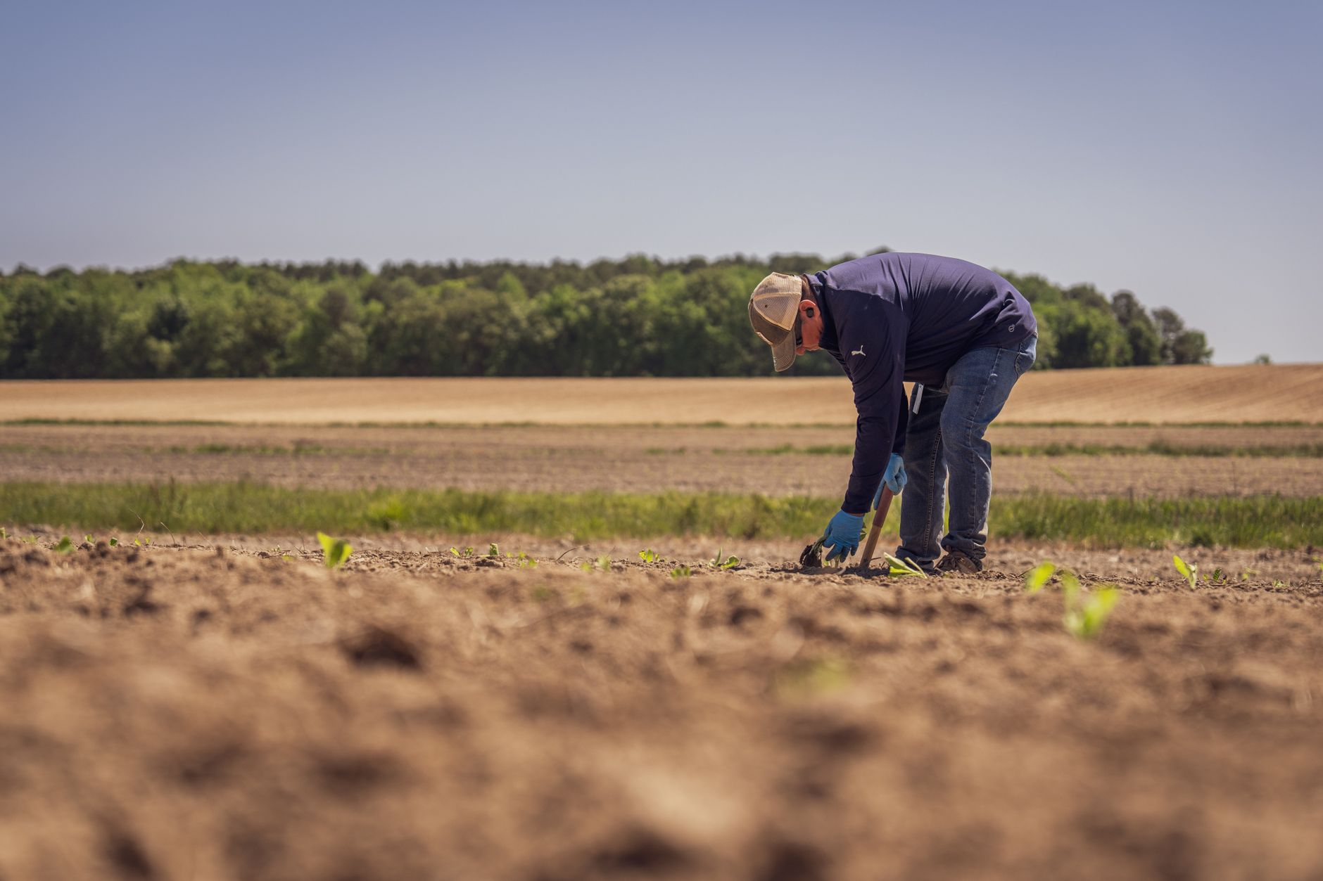 Agri Next 2026: Dezbaterea despre viitorul agriculturii și provocările economice ale fermierilor români