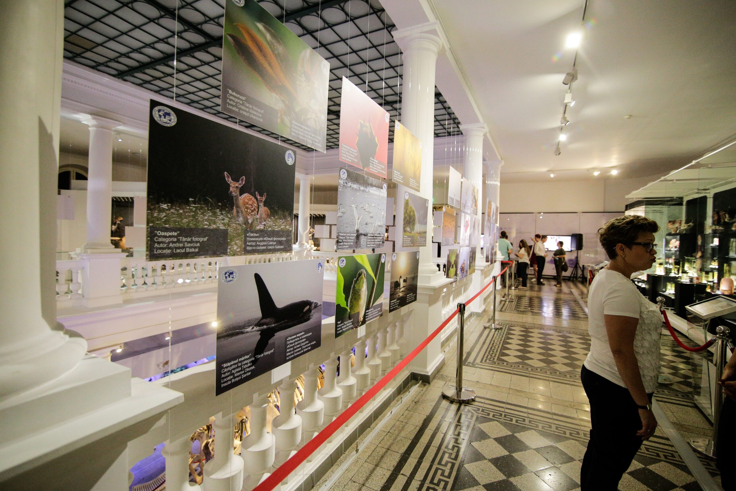 Bucureștiul primește un nou district cultural: A fost lansat proiectul „Triunghiul Muzeelor” pe Șoseaua Kiseleff