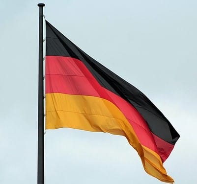 Partidele AfD și BSW au votat împreună pentru oprirea ajutorului militar acordat Ucrainei în Germania