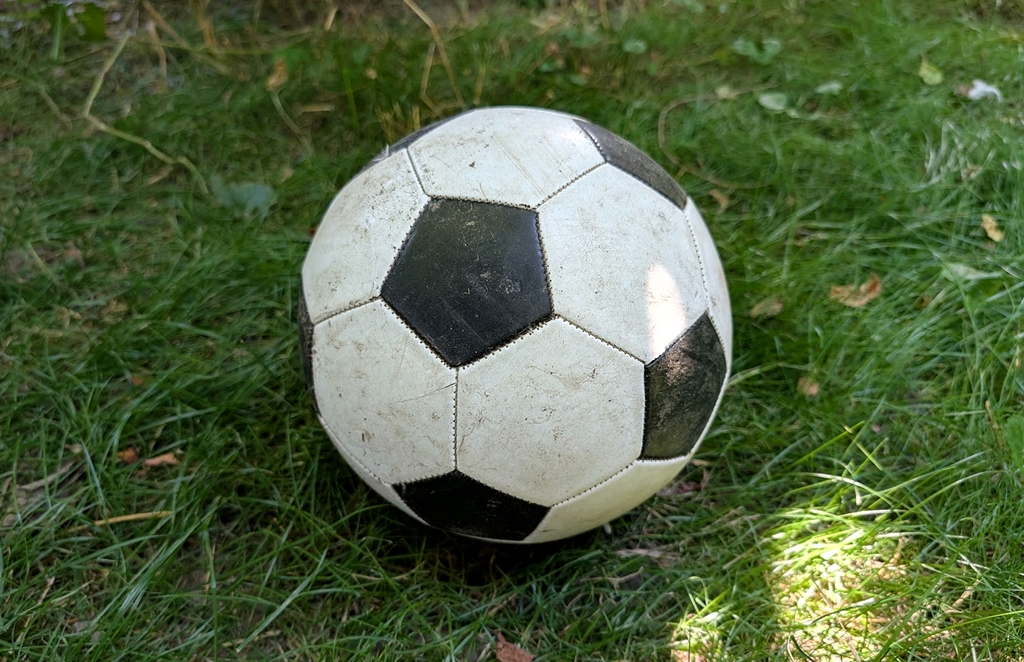 Detalii din arhiva CNSAS despre modul în care Dinamo construia relații cu arbitrii străini în perioada comunismului