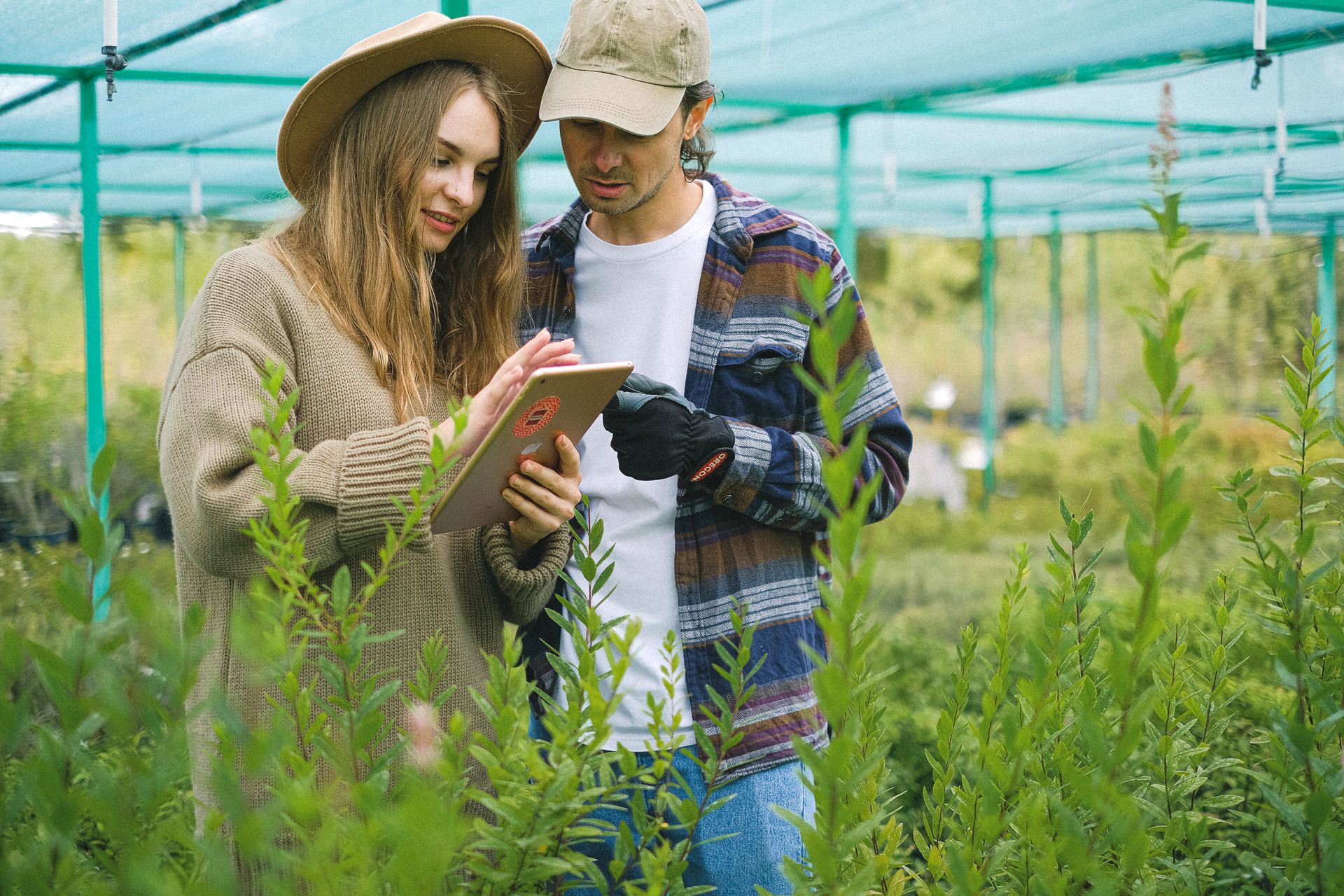 Anul Internațional al Femeii Fermier 2026: Rolul crucial al femeilor în agricultura din România