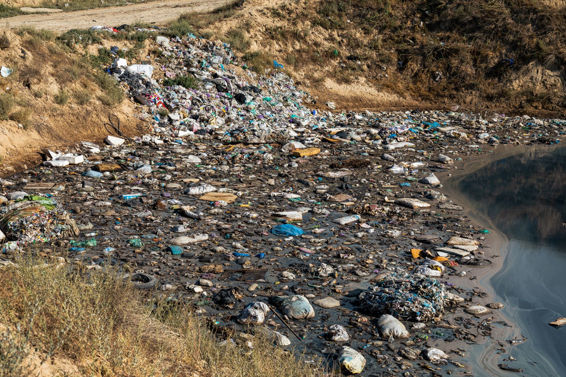 Raiduri de amploare în Sintești: 840 kg de deșeuri confiscate și amenzi de peste 320.000 de lei
