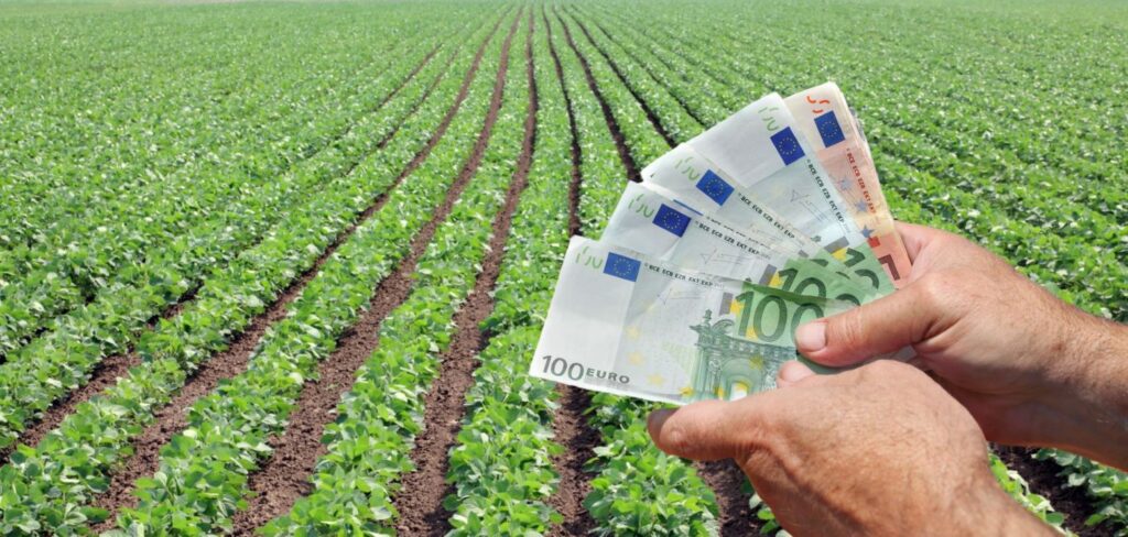 APIA a început plata avansului subvențiilor agricole: peste 124 de milioane de euro transferate fermierilor