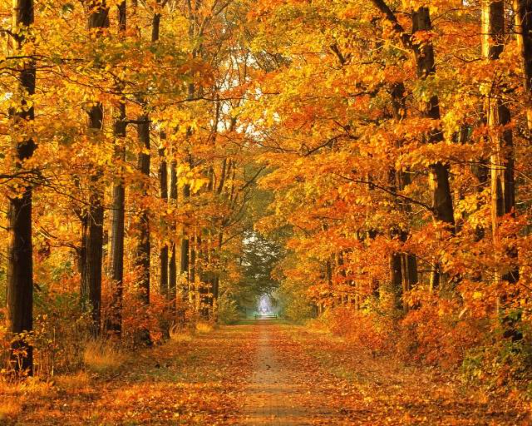Vremea devine extrem de schimbătoare în România: între precipitații și posibile temperaturi de 25 de grade