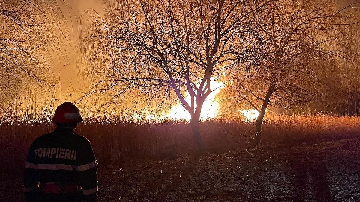 O nouă metodă tehnologică ar putea ajuta pompierii să anticipeze comportamentul incendiilor de vegetație