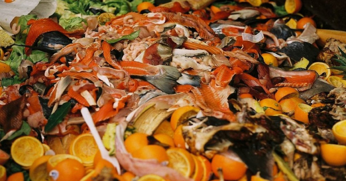Maldivele domină clasamentul risipei alimentare, cu 260 de kilograme aruncate de persoană pe an