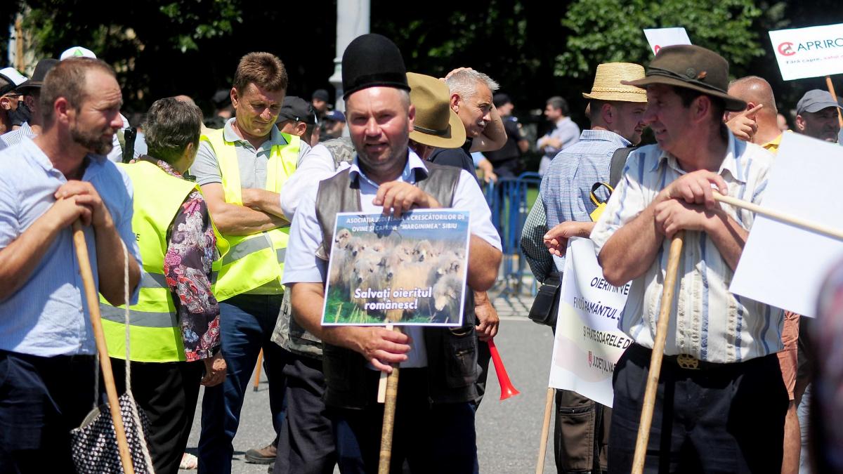 Protestul ciobanilor din Piața Victori: Acuzații de deturnare și violențe în urma manifestației