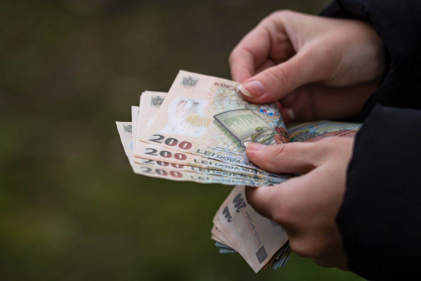 Granturi de 10.000 de lei pentru producătorii locali: se deschid înscrierile pentru finanțare
