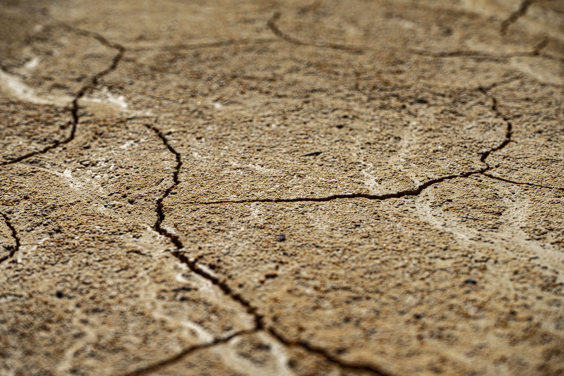 Cutremur puternic în zona Vrancea, cu magnitudine de 5,1. Vibrațiile au fost resimțite în București