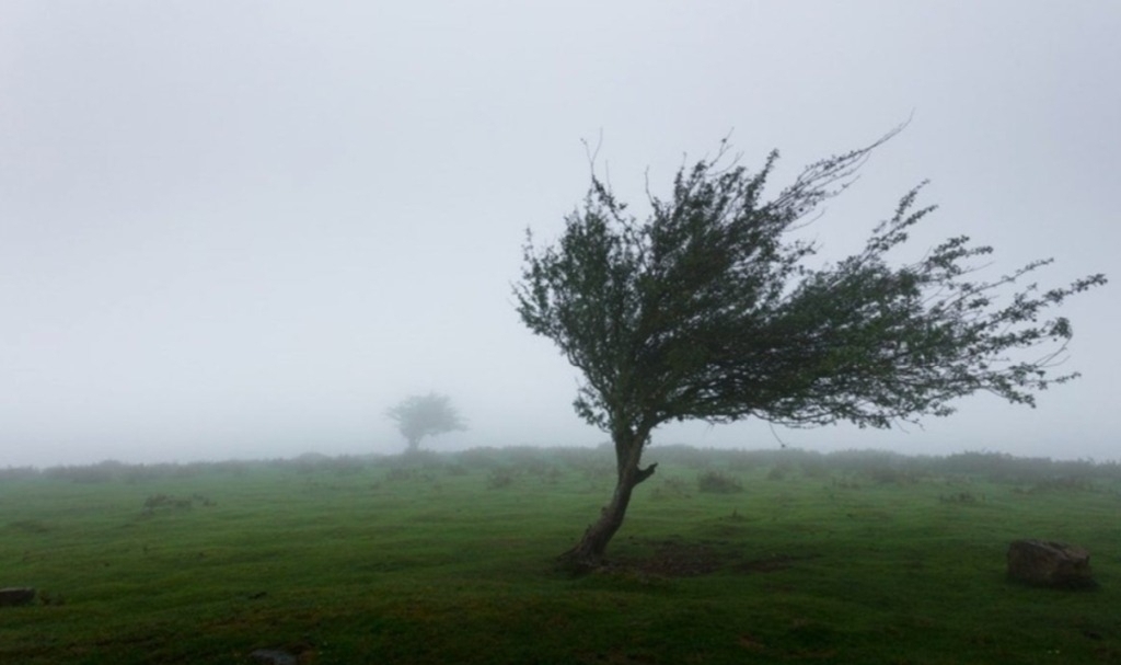 Avertizare meteo de Cod galben pentru Suceava: se anunță rafale de vânt de până la 110 km/h