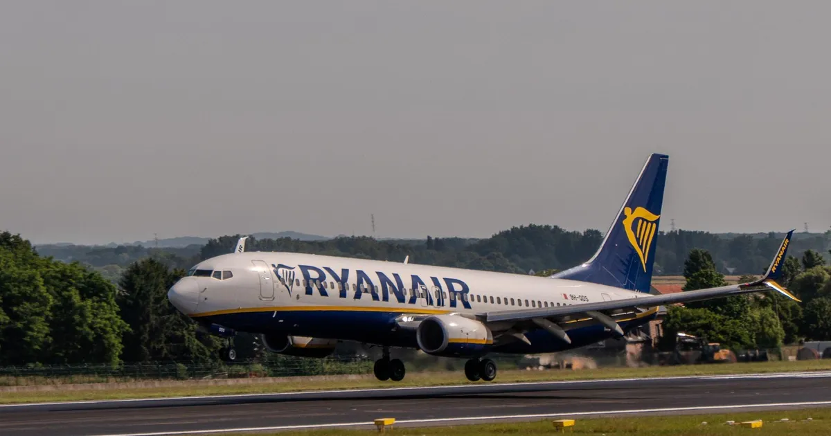 Două avioane Ryanair au fost avariate de păsări pe aeroportul din Budapesta