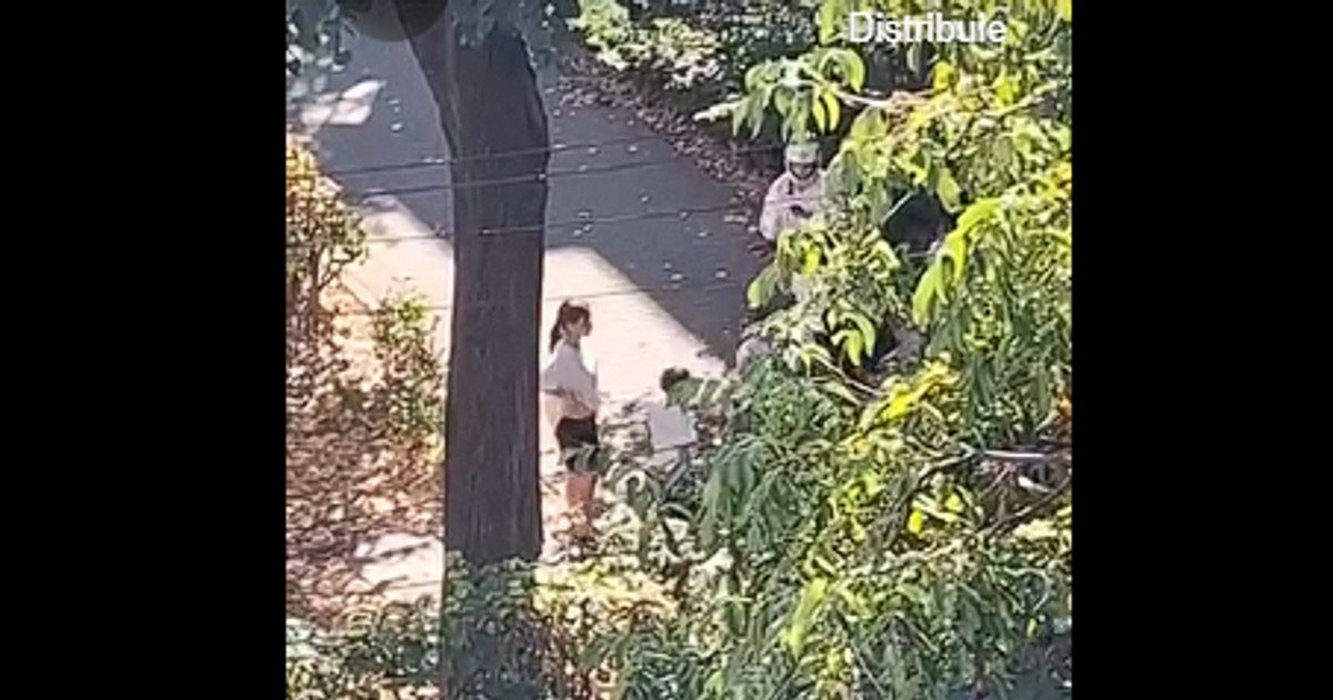 Violență între adolescente în Bacău: un videoclip cu agresiuni fizice a declanșat o anchetă de poliție