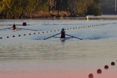 Locația pentru probele de canotaj la Jocurile Olimpice de la Brisbane este controversată din cauza crocodililor