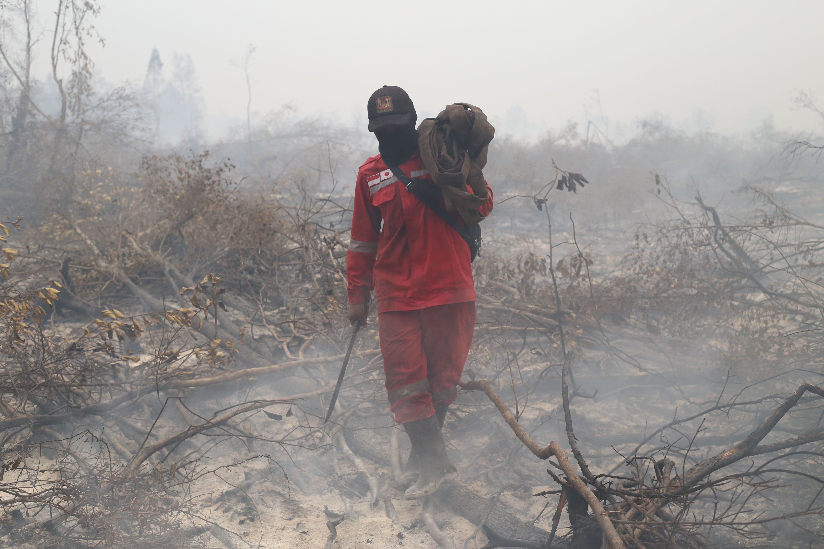 Picturile rupestre cele mai vechi din lume sunt amenințate de incendiile forestiere din Indonezia