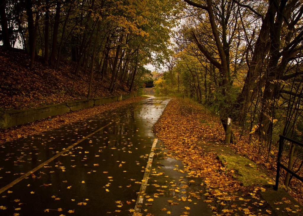 Avertisment meteorologic: Ploile vor reveni la mijlocul săptămânii viitoare, iar temperaturile vor scădea