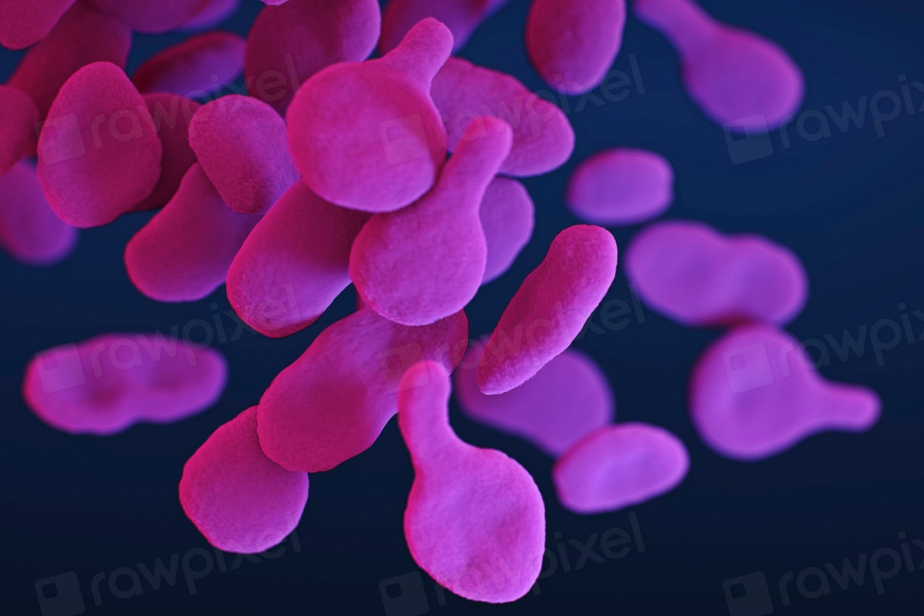 Descoperire majoră în epavele din Pacific: bacterii care ar putea combate poluarea cu petrol