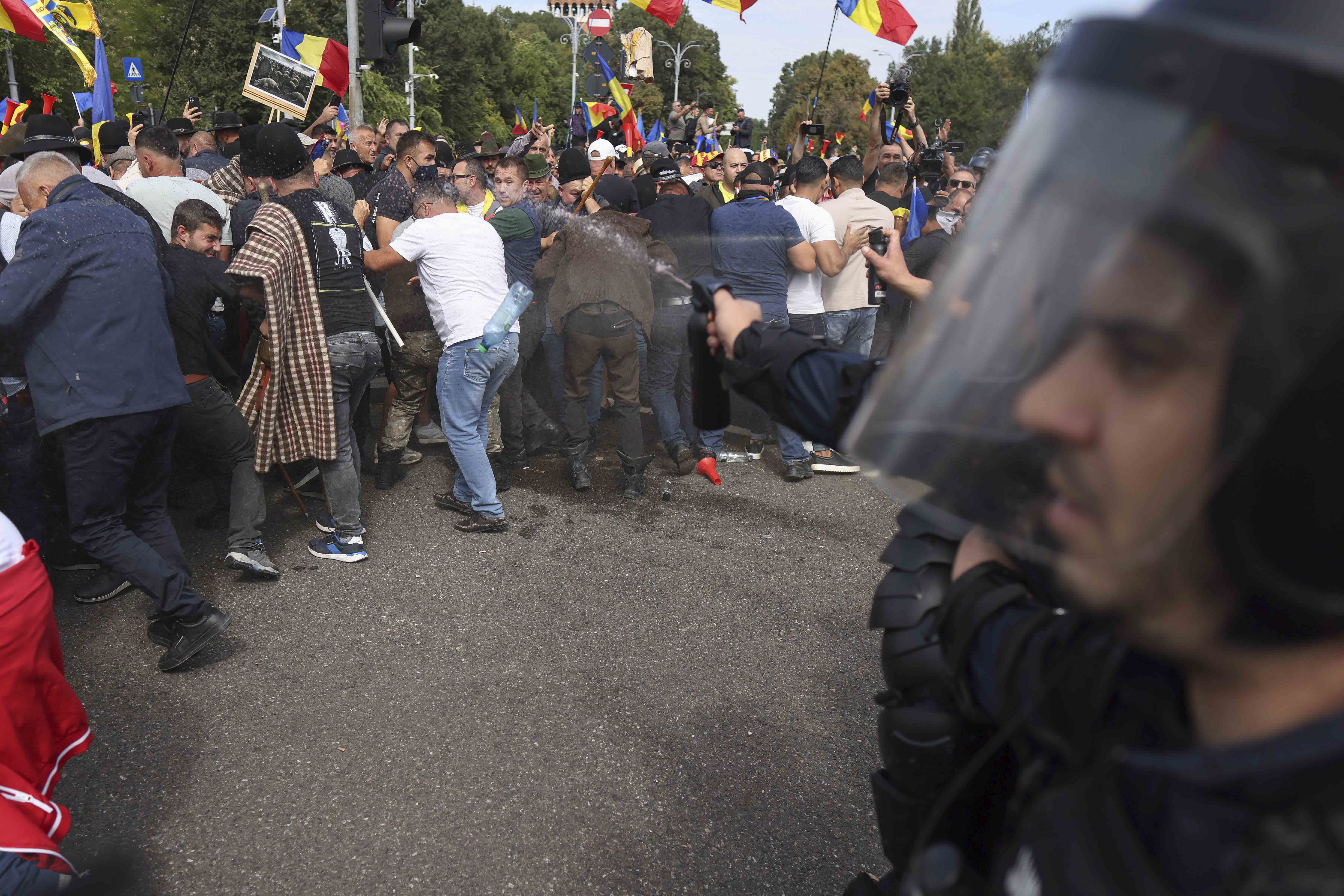 MAI avertizează că fermierii sunt manipulați prin instigări la protest în cazul crescătorilor de ovine