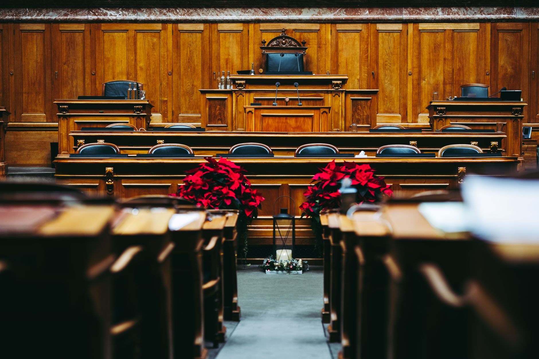 Jordan Bardella a fost reales lider al partidului Adunarea Națională cu o majoritate de aproape 99%