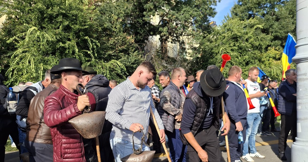 Conflict între MAI și fermieri: Crescătorii de ovine contestă afirmațiile ministerului despre rezolvarea problemelor