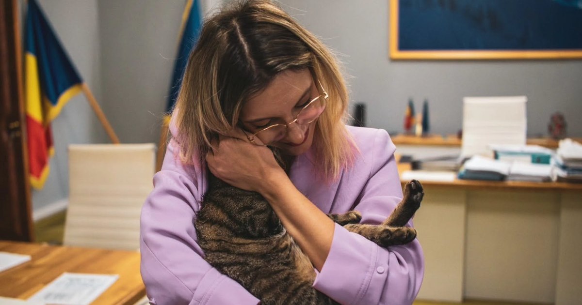 Soarta pisicii Leia, adoptată de Ministerul Mediului, a stârnit reacții și glume politice pe rețelele sociale