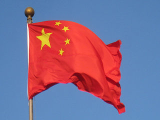 Tinerii din China adoptă un hobby neobișnuit pentru a combate stresul: îngrijirea cărămizilor cu mușchi