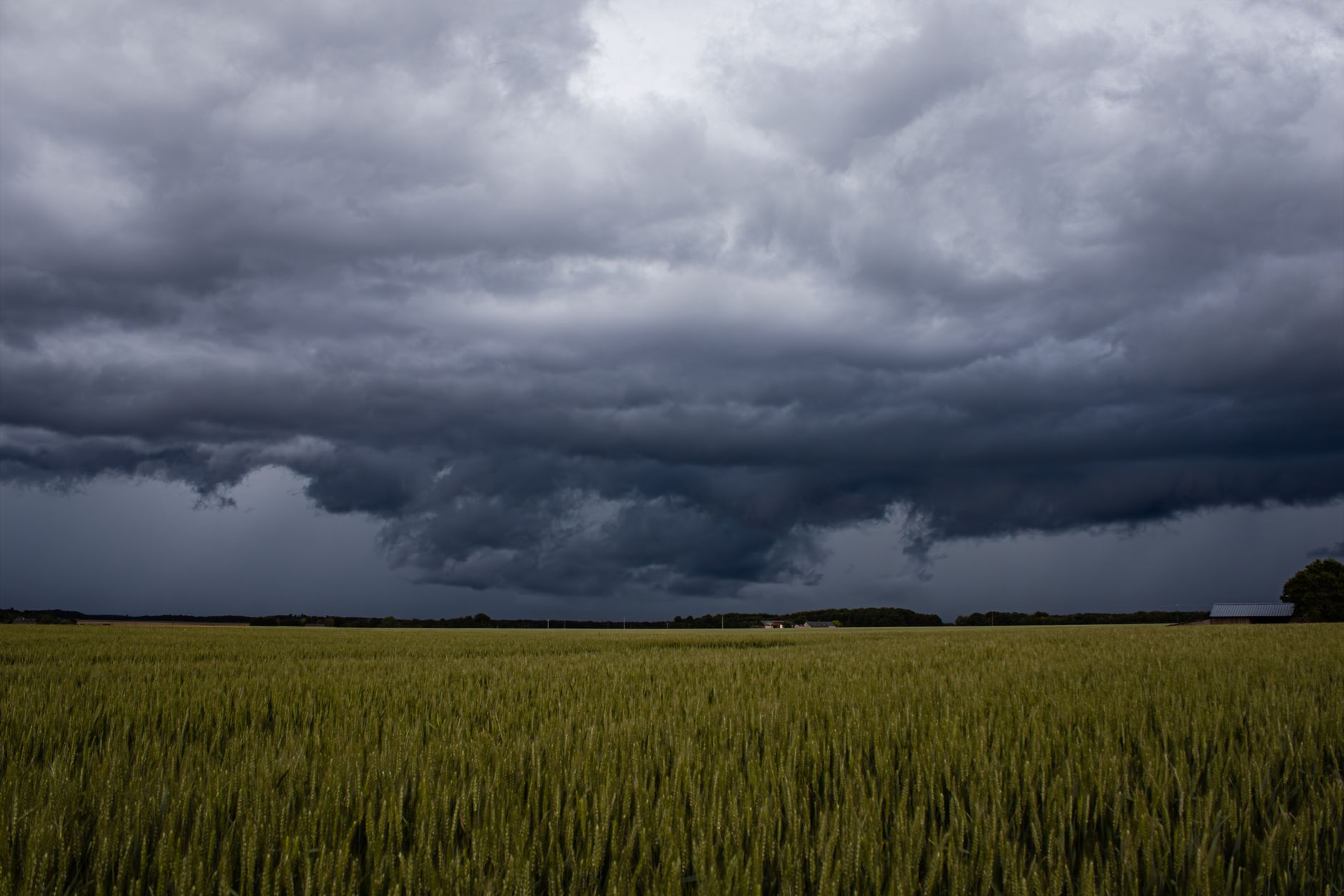 Prognoza meteorologică pentru noiembrie: România se pregătește de temperaturi mai scăzute și precipitații