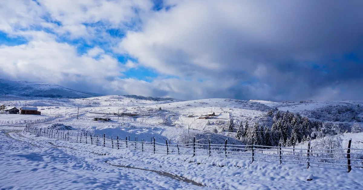 Modelul ECMWF anticipează o perturbare majoră a vortexului polar la începutul lunii noiembrie