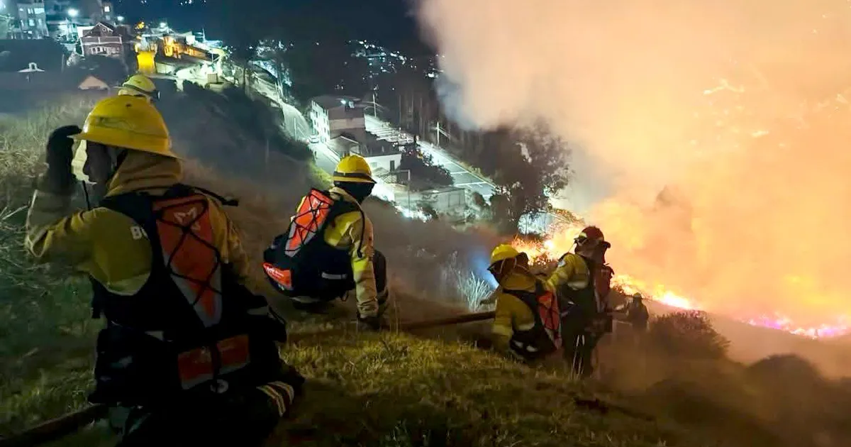 Incendii forestiere masive în Quito: Autoritățile din Ecuador au evacuat zeci de persoane