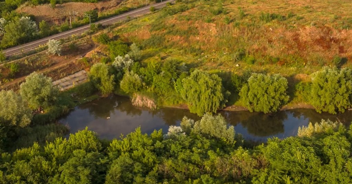 Valea Saulei devine a treia arie naturală protejată din București. Zona are peste 80 de specii de păsări