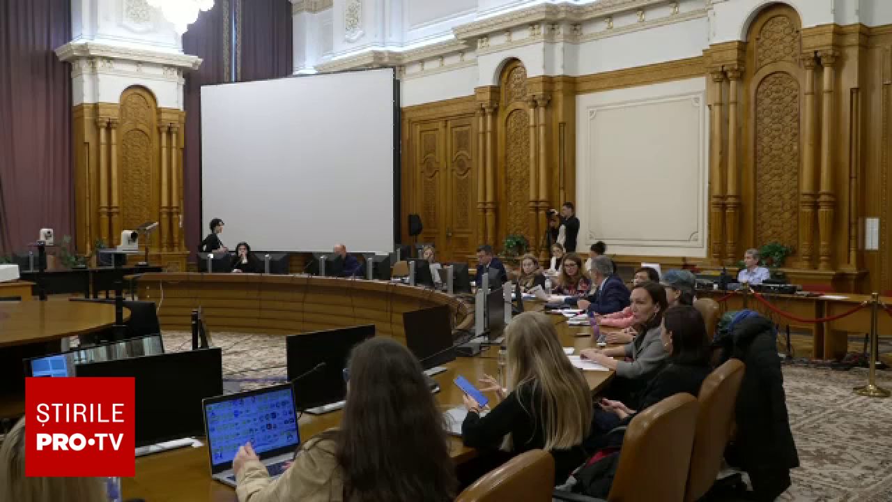 Lipsesc normele pentru aplicarea legii femicidului, în timp ce în România 31 de femei au fost asasinate