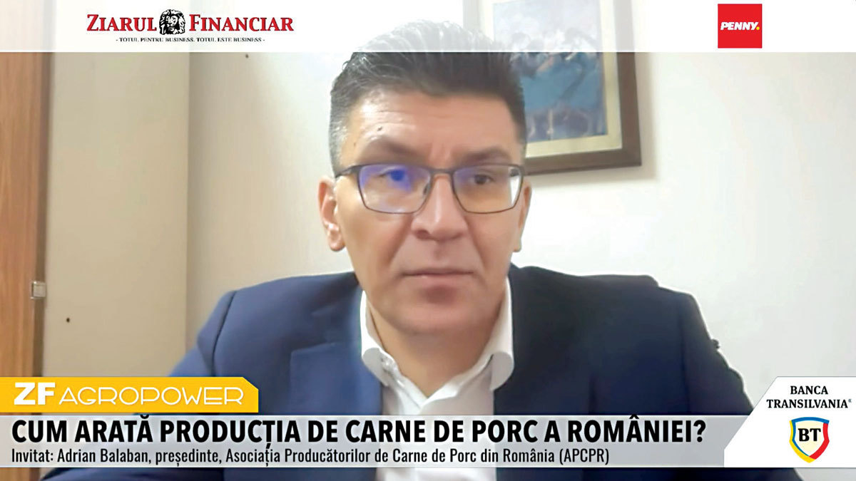 Criza crescătorilor de porci din România: vînzări în pierdere și risc de falimente în industrie