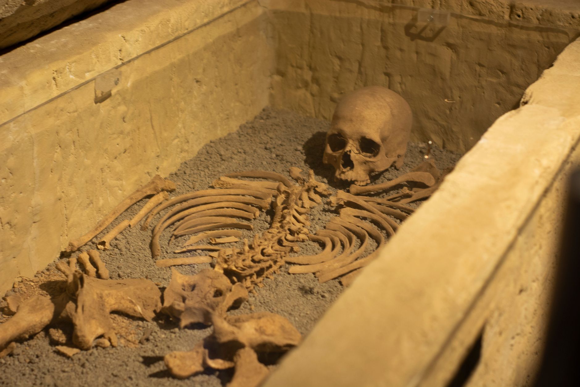 Descoperire arheologică în Franța: un os de 30.000 de ani dezvăluie migrații genetice în Europa