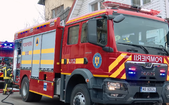 Alertă la o școală din Iași: Pisici moarte găsite lângă un recipient cu dioxid de sulf