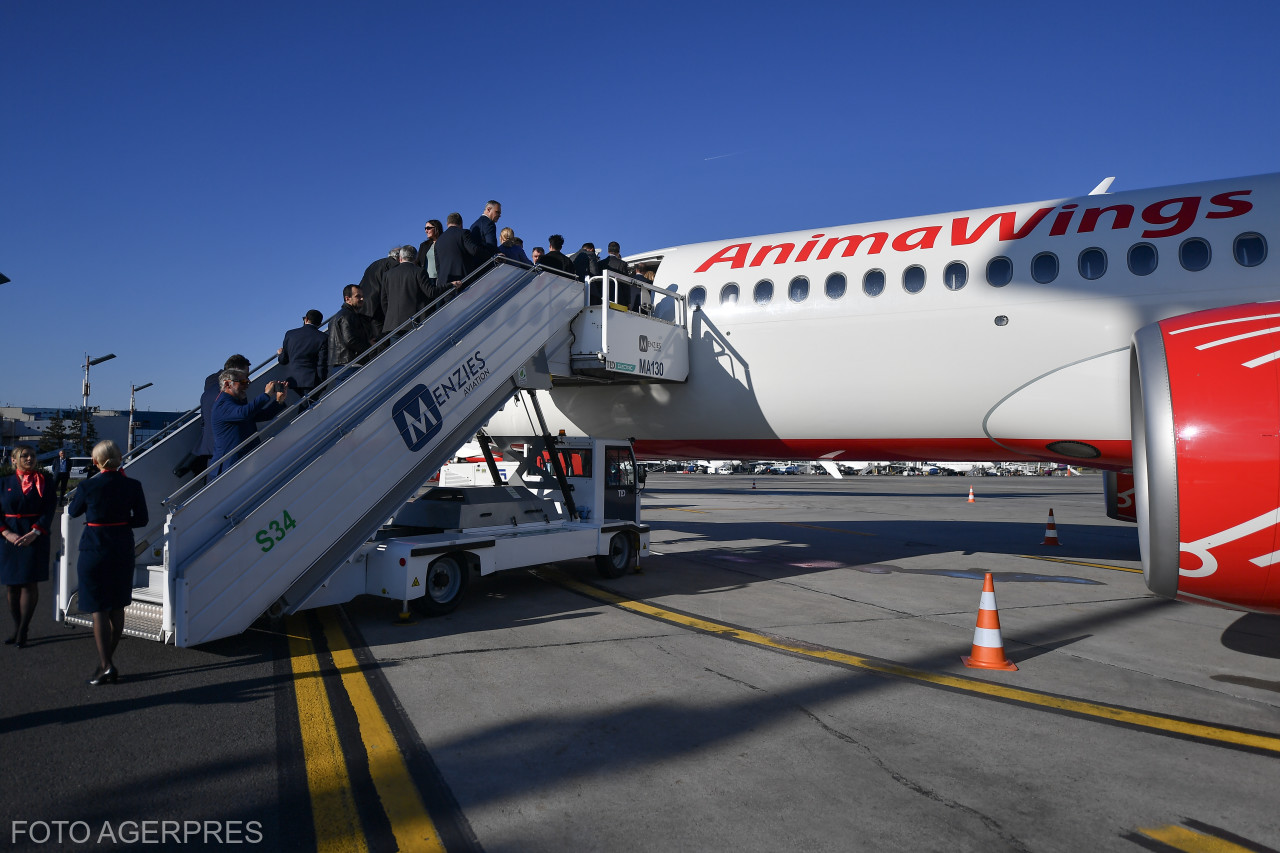 Compania aeriană Animawings intră în insolvență după a doua încercare de protejare