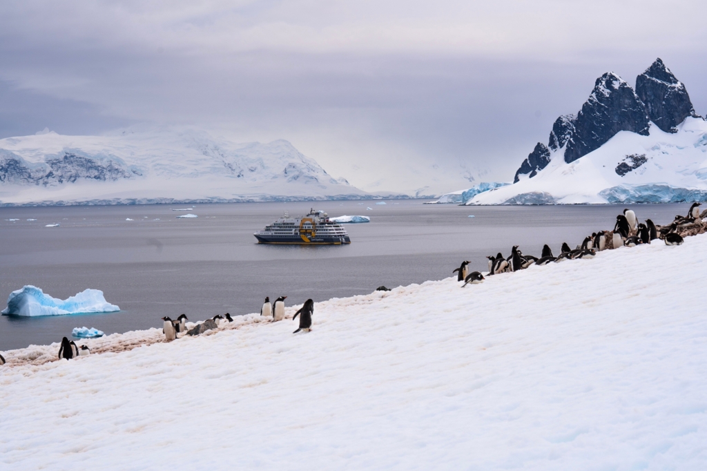 Turism de lux în Antarctica: Record de vizitatori și excursii cu elicopterul pentru turiști cu venituri mari