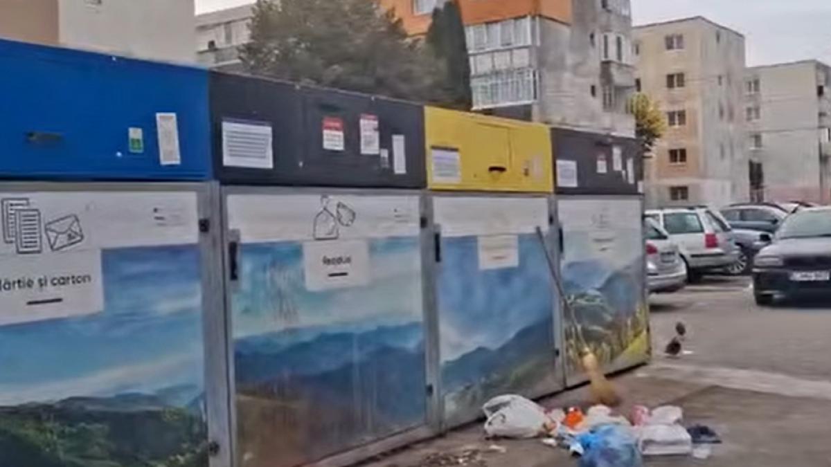 Probleme grave de salubritate în Turda: Rozătoarele au invadat insulele ecologice și grădinițele