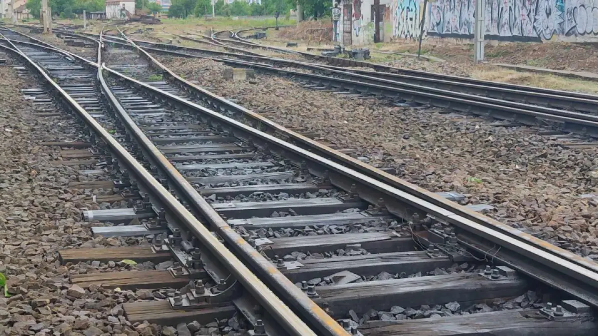Un urs a provocat deraierea unui tren în Japonia, 34 de persoane au petrecut noaptea în garnitură
