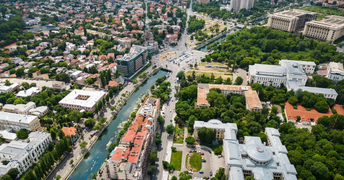 Rolul strategic al copacilor în orașe: de la element decorativ la instrument de adaptare climatică