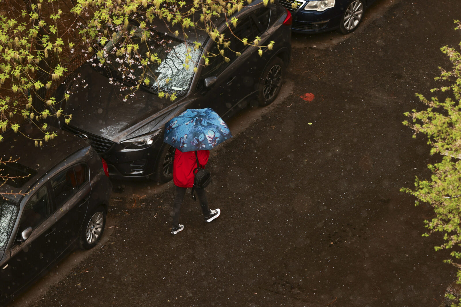 Prognoză meteo pentru București: Săptămâna viitoare vor predomina cerul noros și temperaturile scăzute