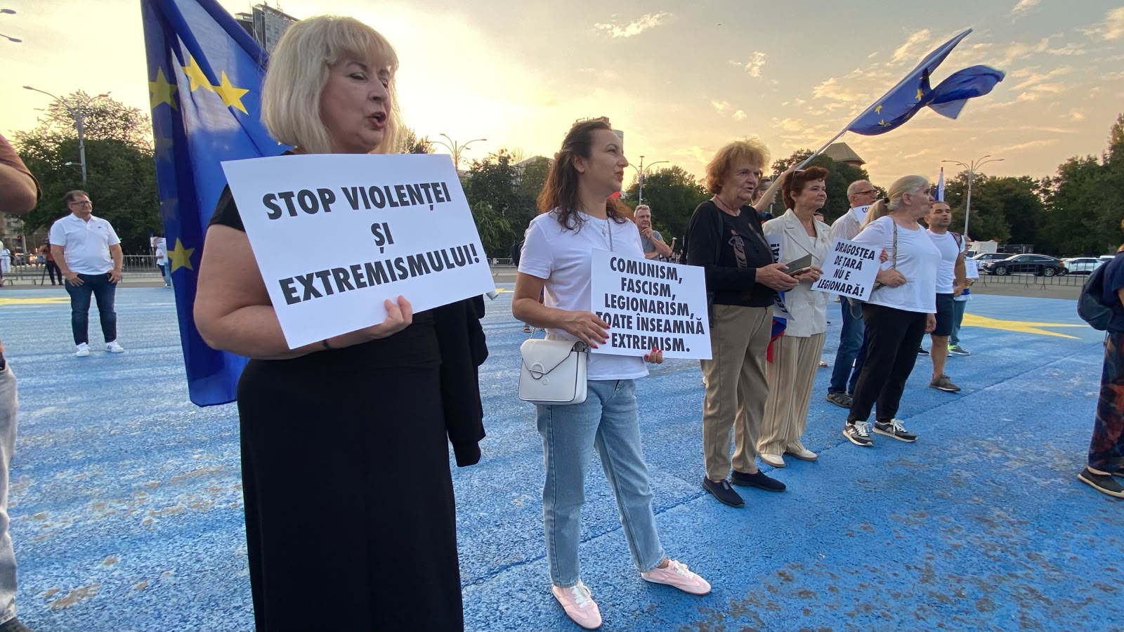 Manifestație pentru democrație în Piața Victoriei: participare redusă și intervenție a jandarmeriei