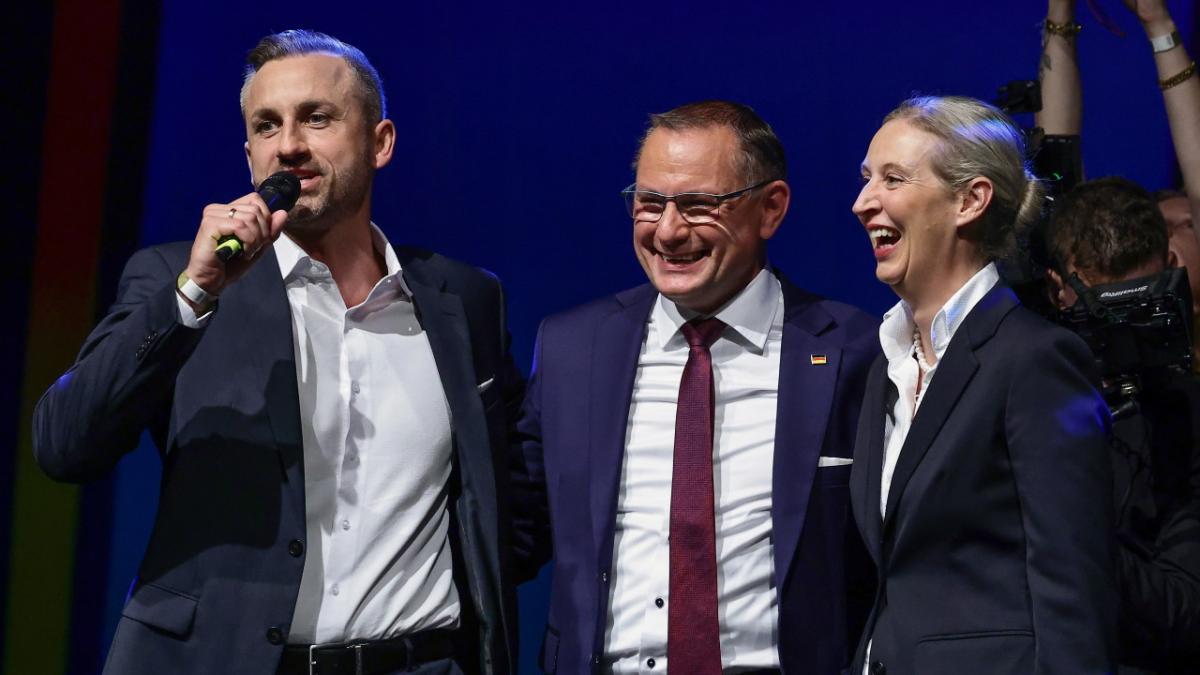 Rezultate electorale dificile în Germania: AfD câștigă un nou land, iar Die Linke domină la Berlin