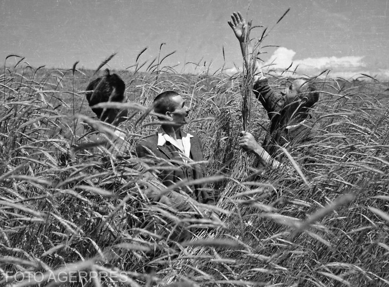România are un nivel scăzut de asociere în agricultura de fructe și legume față de restul Europei