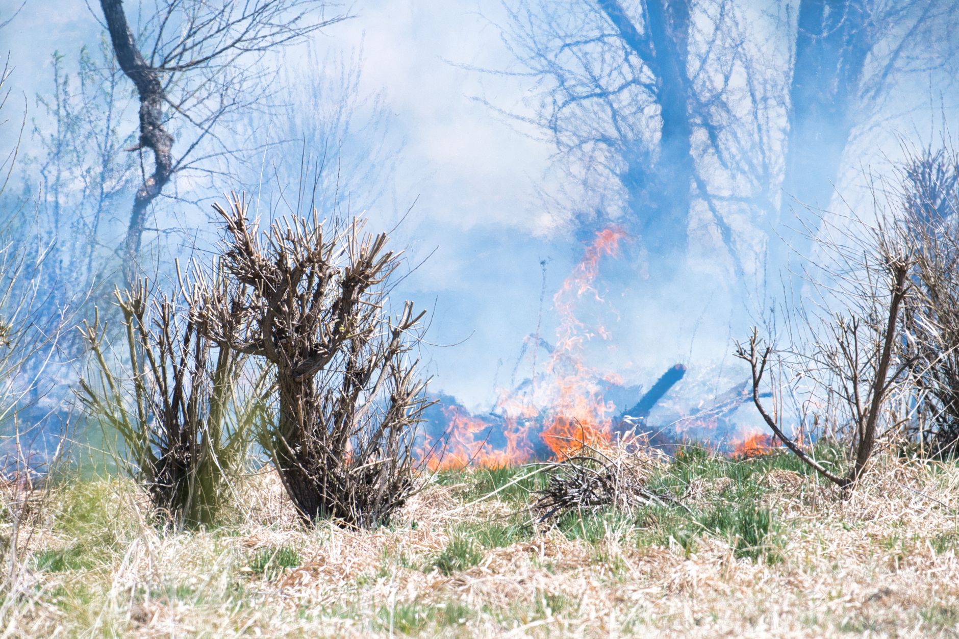 Incendiu de amploare în localitatea Vieru: 120 de hectare de vegetație au fost afectate de flăcările izbuit de duminică