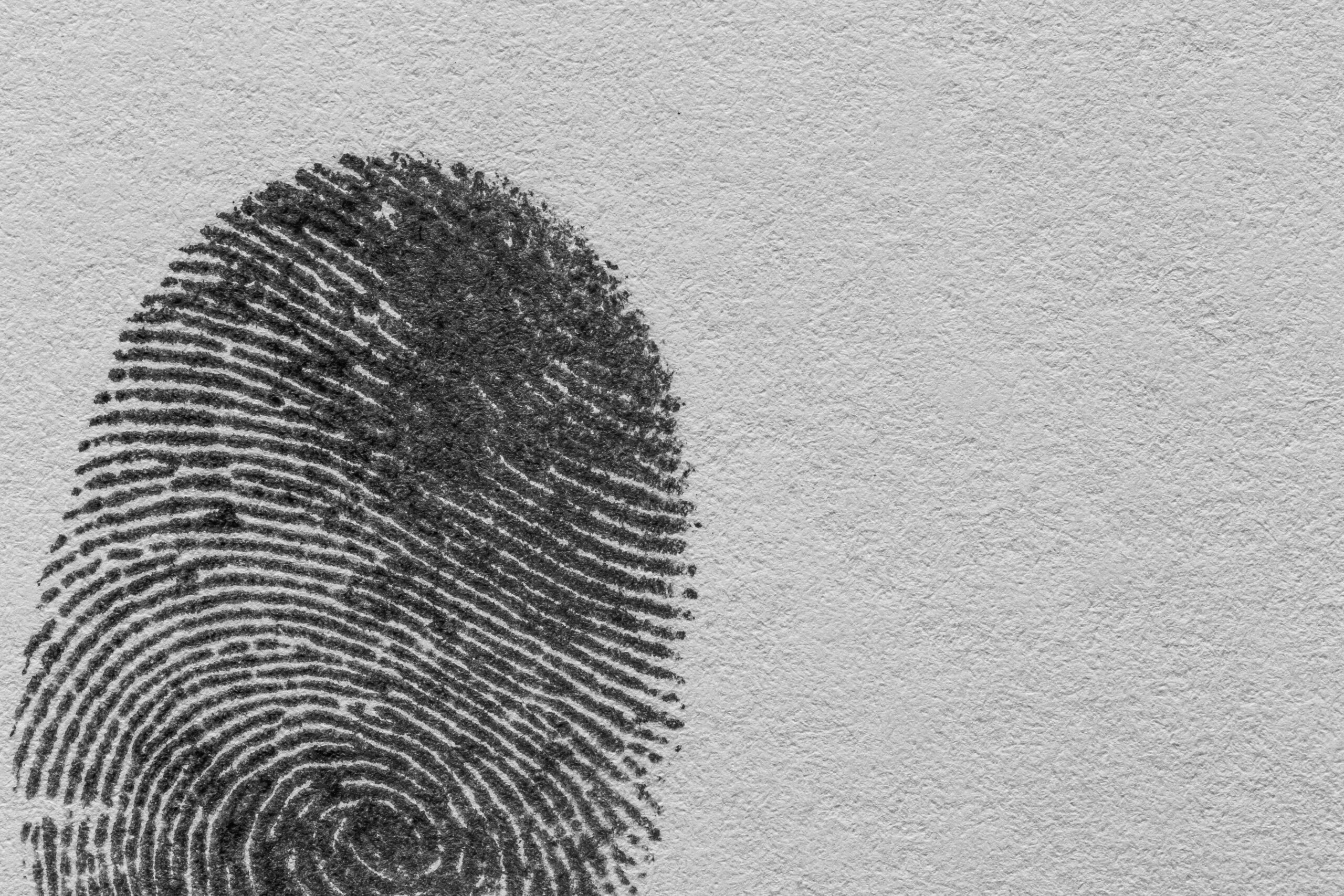 Descoperire arheologică majoră: mărgele de lut vechi de 15.000 de ani care schimbă istoria Neoliticului