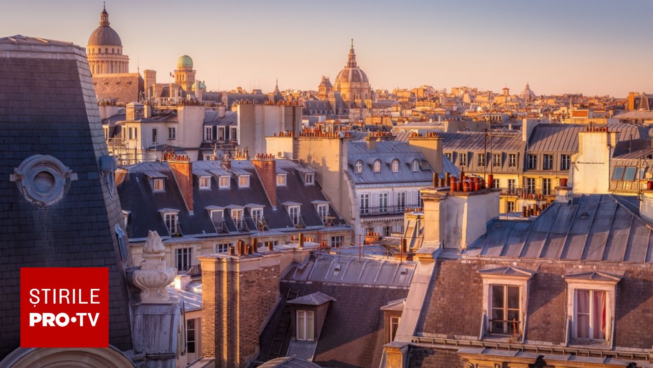 75 de pisici găsite într-un apartament de 50 de metri pătrați din Paris după evacuarea chiriașului