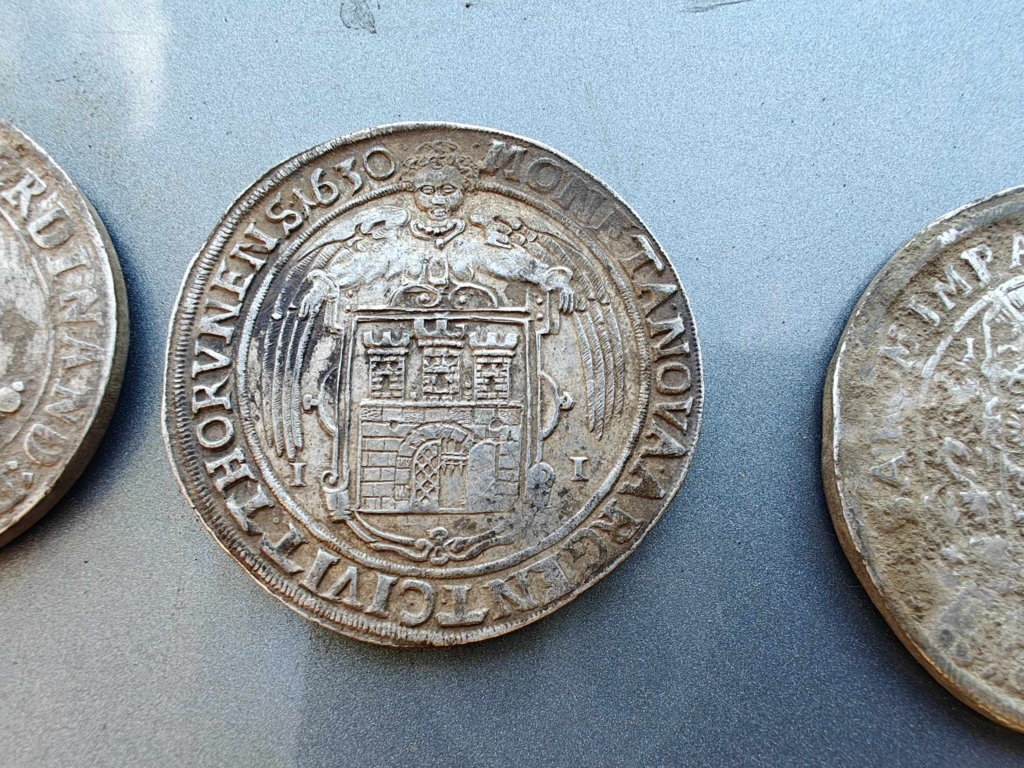 Tezaur masiv de 934 de monede romane descoperit în Germania după o căutare cu detectorul de metale