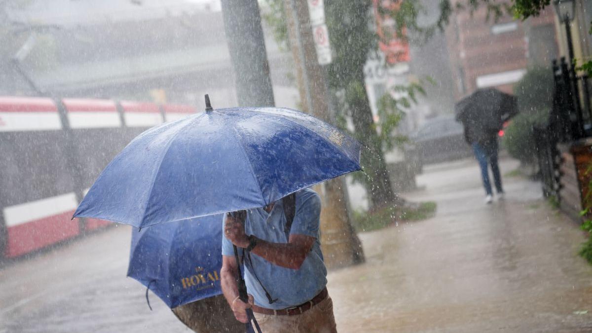 Avertisment meteo de cod galben în județul Călărași: ploi torențiale și vânt puternic