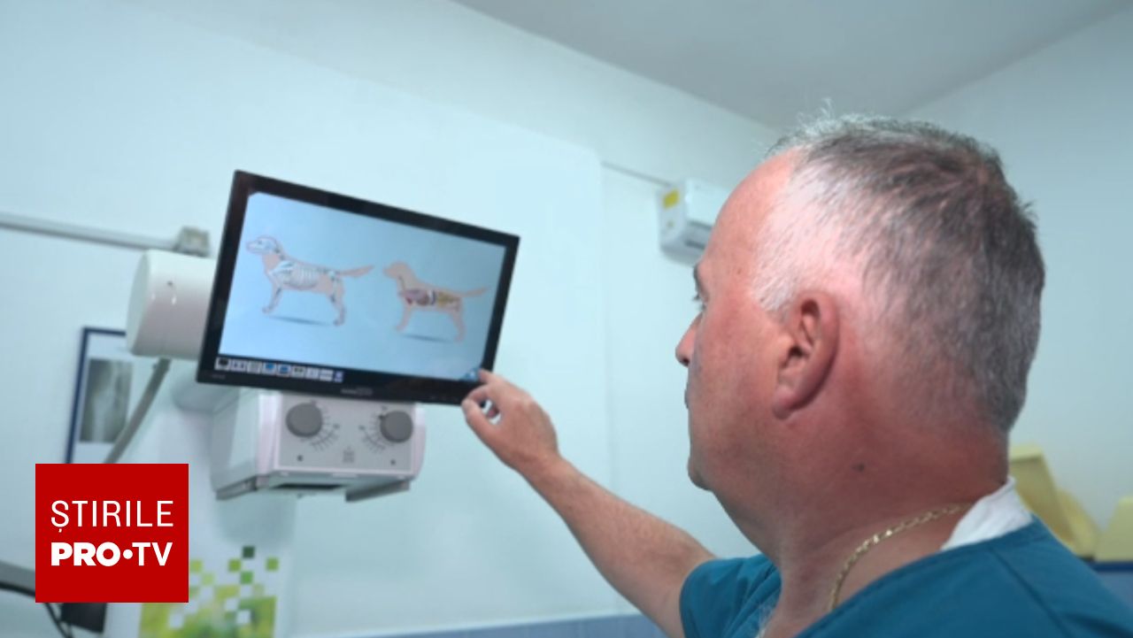 Spitalele veterinare devin tot mai complexe, oferind servicii de cardiologie, CT și chirurgie specializată