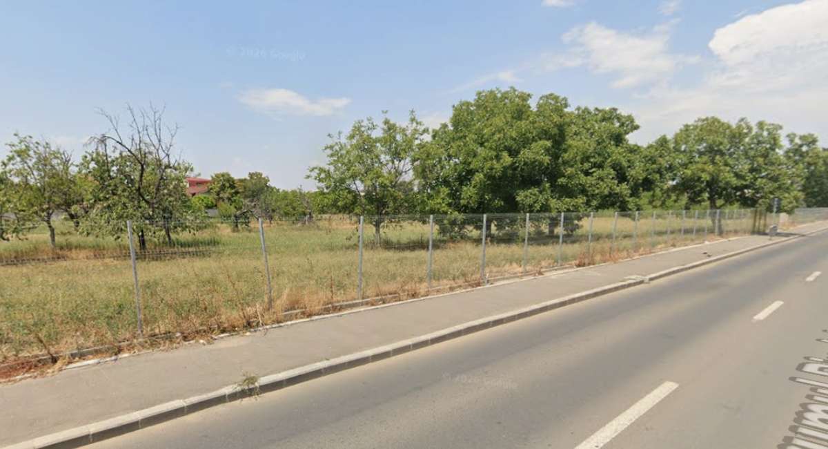 Sectorul 4 investește peste 4 milioane de lei în amenajări peisagistice și plantări de arbori